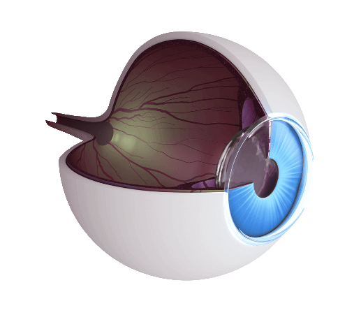 Westside Eye Clinic - Mt. Ommaney / Centenary Suburbs / Jamboree Heights / Jindalee